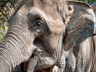 Similar image 526990