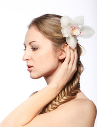 Similar image 527063