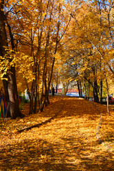 Similar image 527113