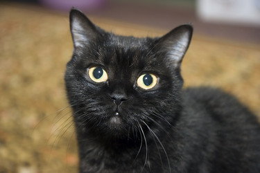 Similar image 527128