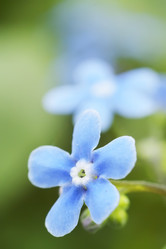 Similar image 527147