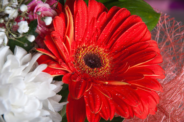 Similar image 527155