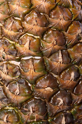 Similar image 527179