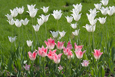 Similar image 527211