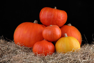 Similar image 527265