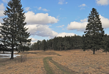 Similar image 527324