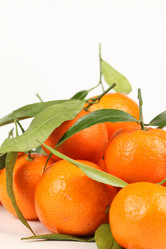 Similar image 527358