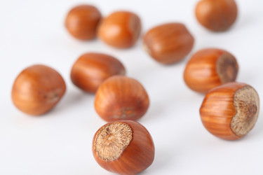 Similar image 527378