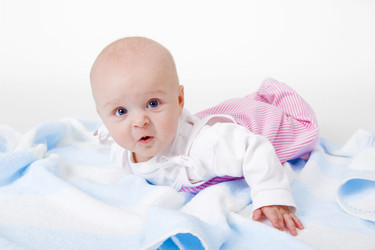 Similar image 527440