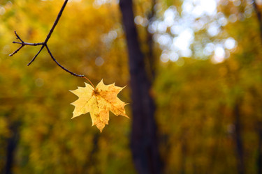 Similar image 527452