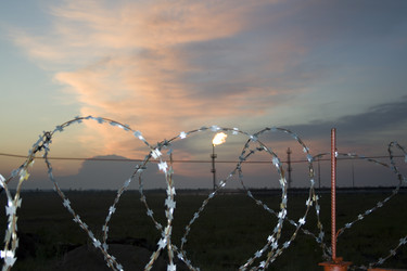 Similar image 527510