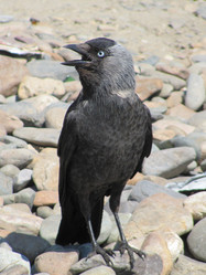 Similar image 527530