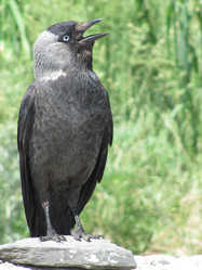 Similar image 527531