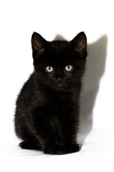 Similar image 527542