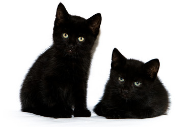 Similar image 527544