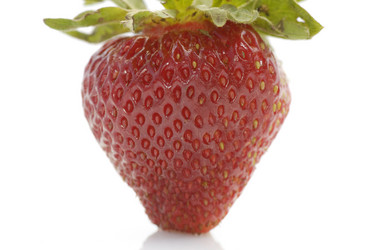 Similar image 527619