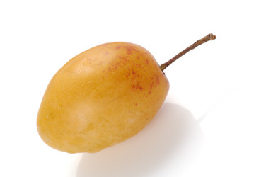 Similar image 527621