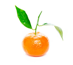 Similar image 527642