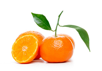 Similar image 527644