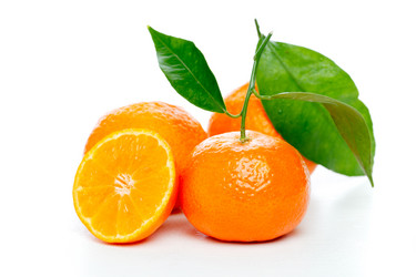 Similar image 527645