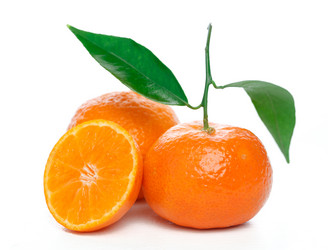 Similar image 527647