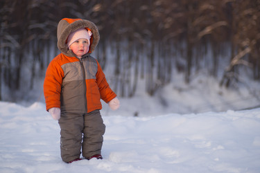 Similar image 527702