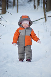 Similar image 527705