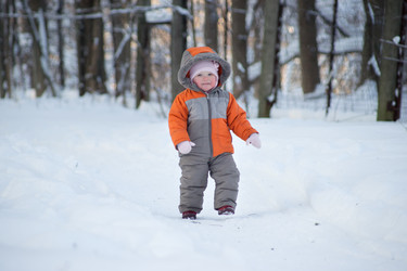 Similar image 527710