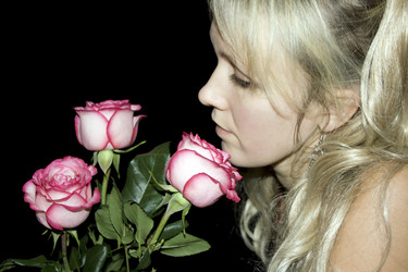 Similar image 527725