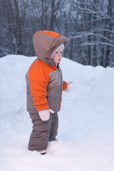 Similar image 527727