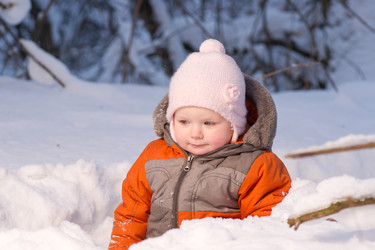 Similar image 527736