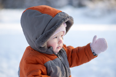 Similar image 527747