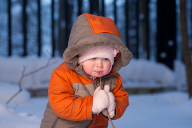 Similar image 527754