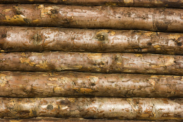 Similar image 527777