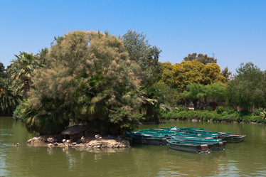 Similar image 527819