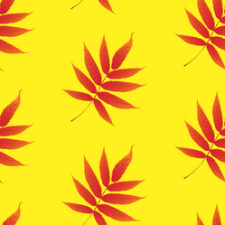 Similar image 527828