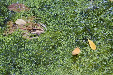 Similar image 527837