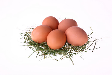 Similar image 527843