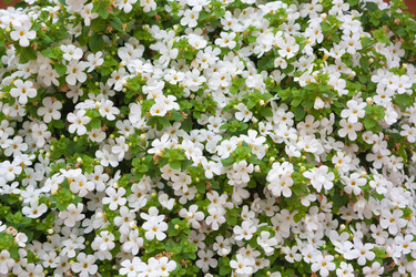 Similar image 527849