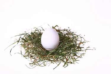 Similar image 527854