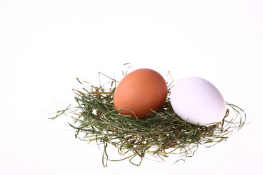 Similar image 527855