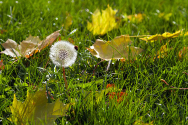 Similar image 527856