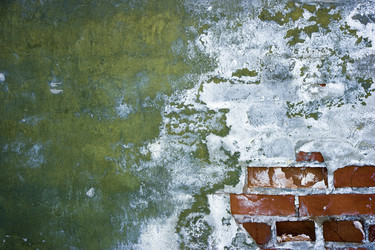 Similar image 527880