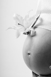 Similar image 527922