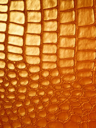 Similar image 527937