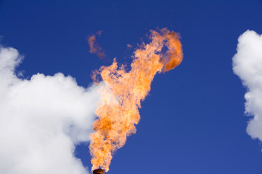 Similar image 527986