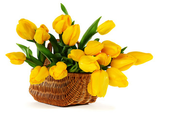 Similar image 528034