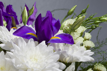 Similar image 528041