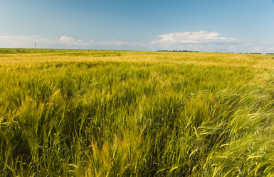 Similar image 528052