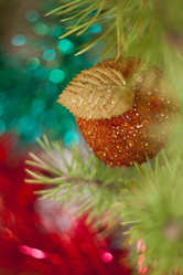 Similar image 528056